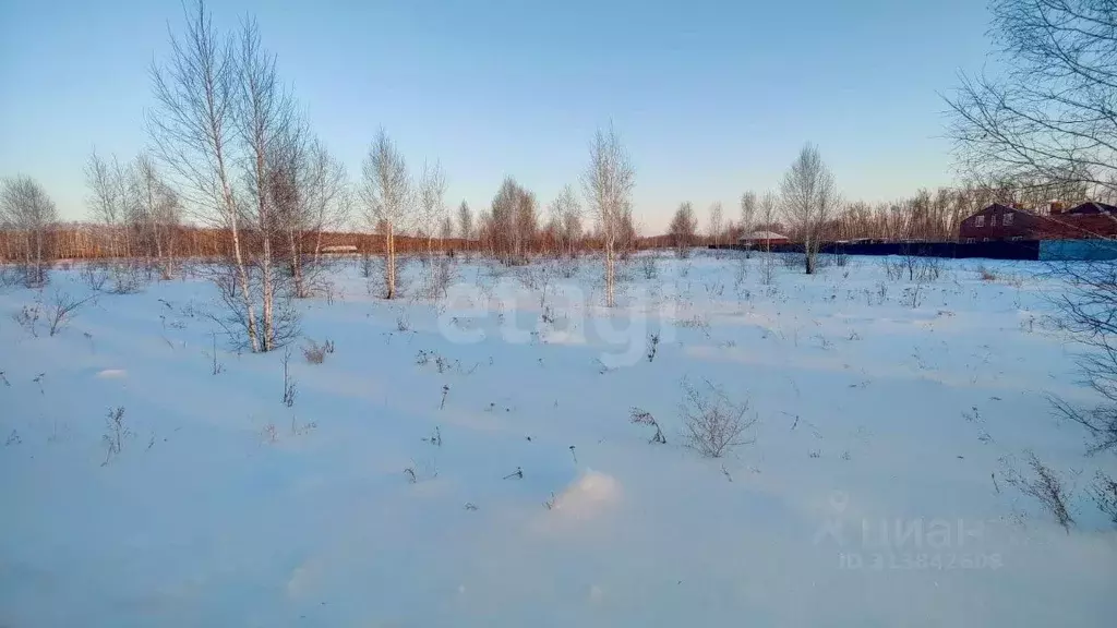 Участок в Омская область, Омский район, с. Усть-Заостровка, Иртышские ... - Фото 0