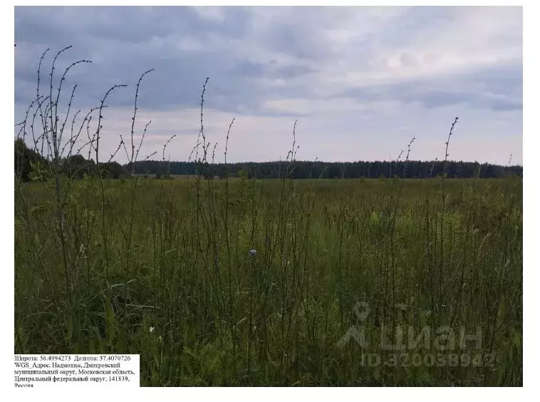 Участок в Московская область, Дмитровский муниципальный округ, д. ... - Фото 0