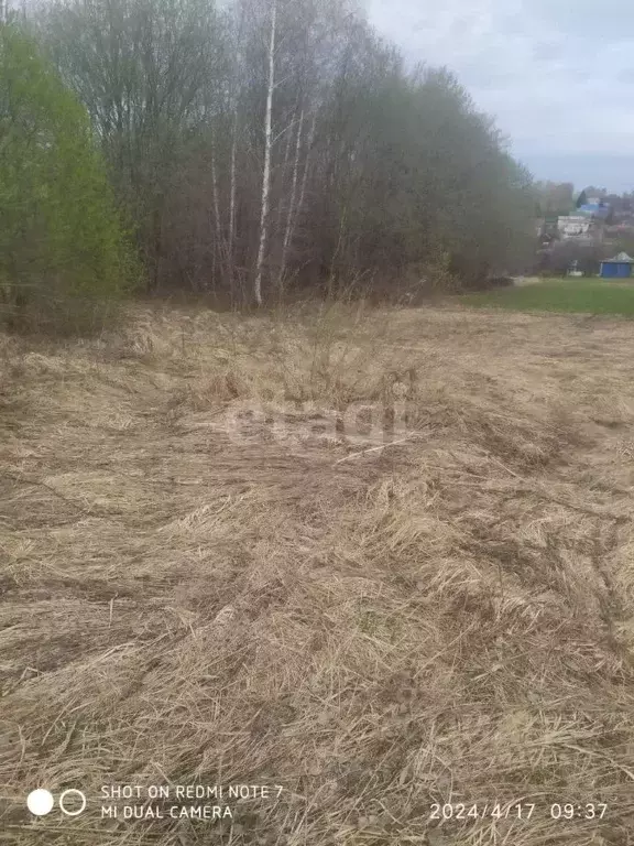 Участок в Нижегородская область, Богородский муниципальный округ, с. ... - Фото 1