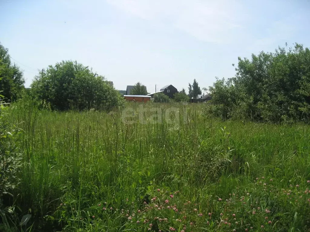 Дом в Новосибирская область, Новосибирск СНТ Рассвет тер., 110 (20 м) - Фото 1