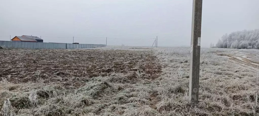 Участок в Марий Эл, Медведевский район, Азяковское с/пос, д. Шеклянур ... - Фото 2