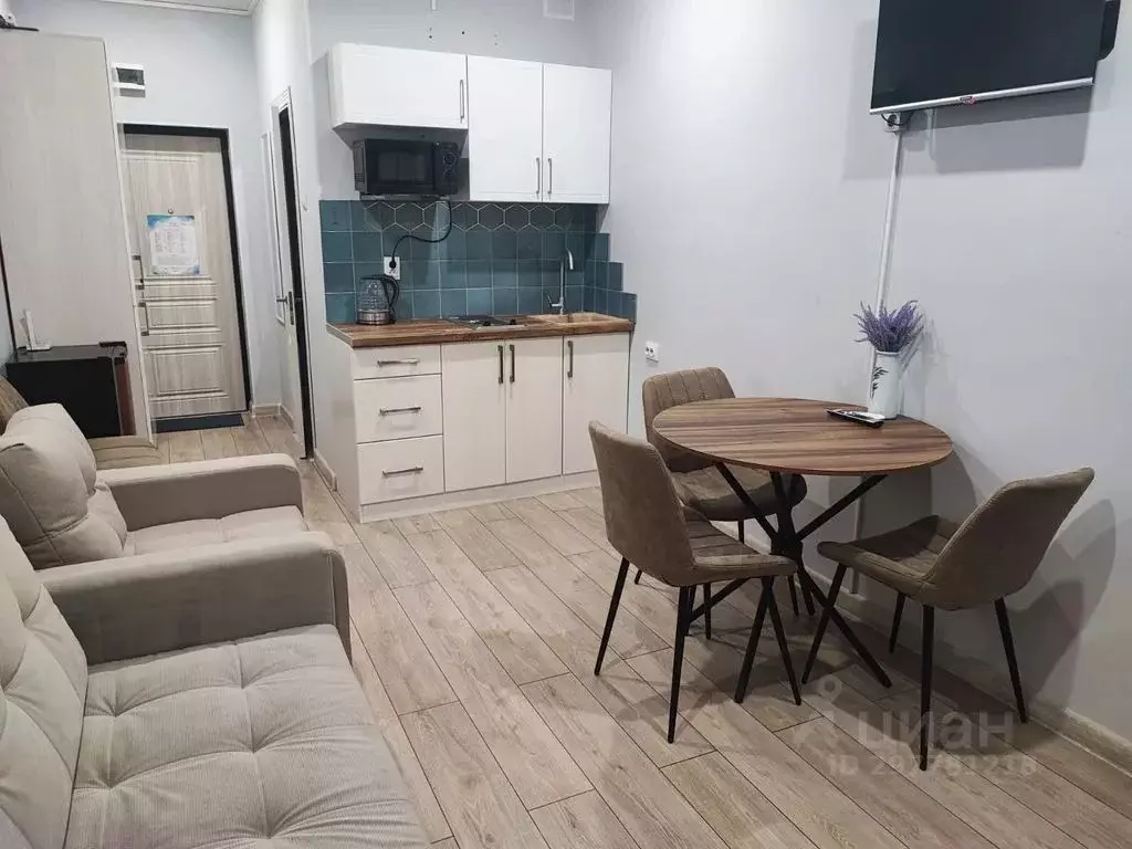 Студия Краснодарский край, Сочи ул. Ленина, 290/6 (25.0 м) - Фото 0
