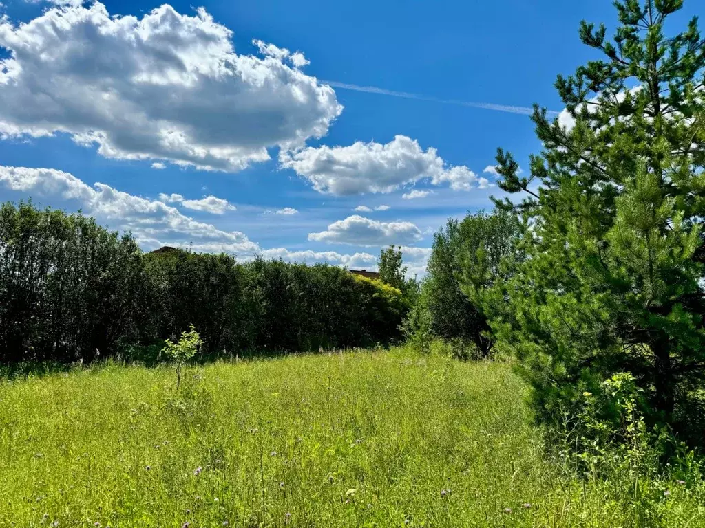 Участок в Московская область, Пушкино Соколовская ул. (8.0 сот.) - Фото 2