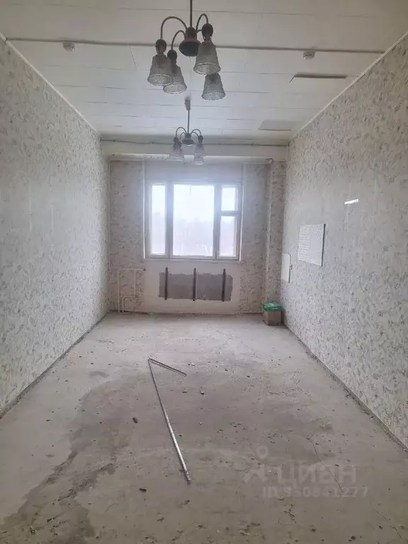 Помещение свободного назначения в Мурманская область, Апатиты ... - Фото 1