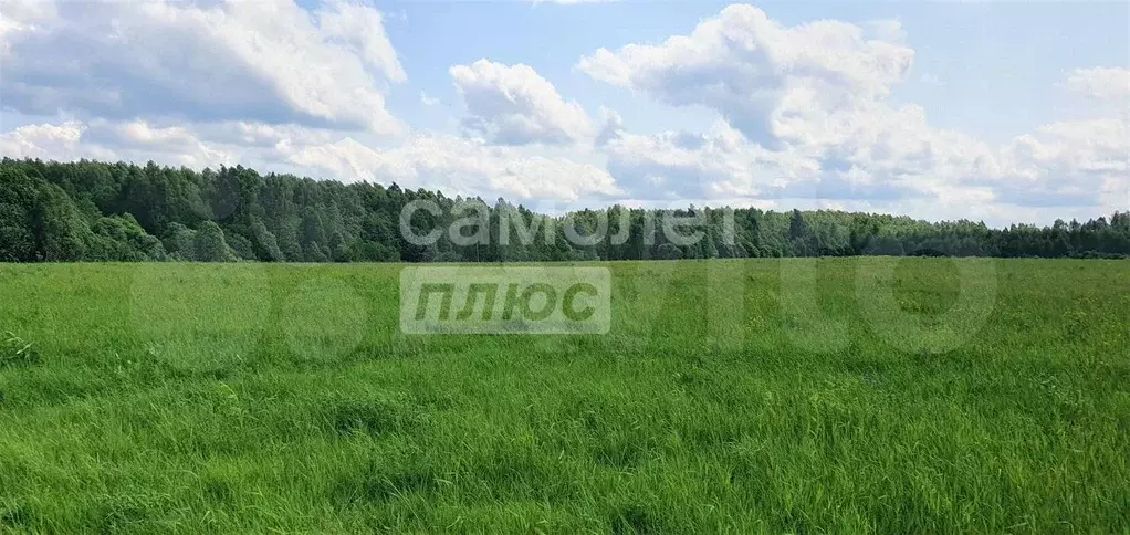 Участок 8 сот. (СНТ, ДНП) - Фото 1