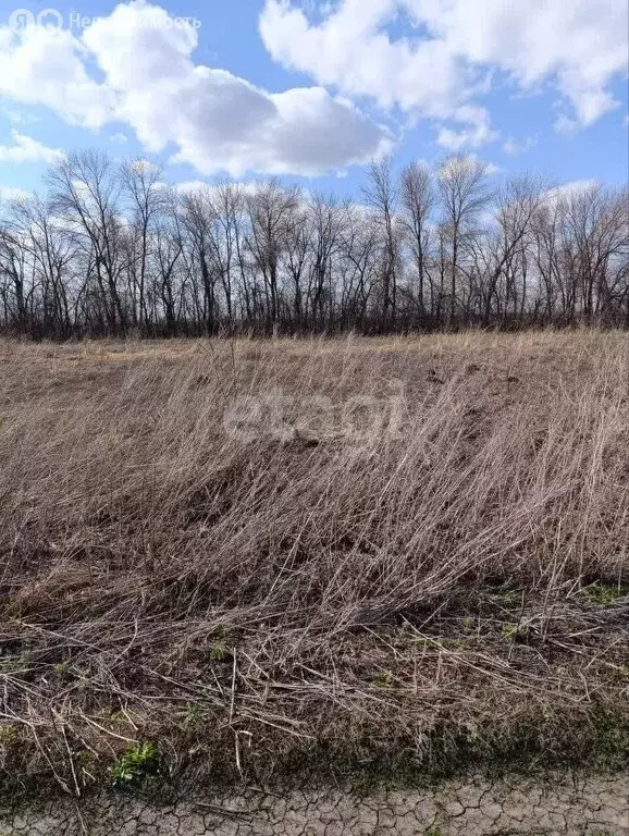 Участок в Республика Мордовия, городской округ Саранск, посёлок ... - Фото 1