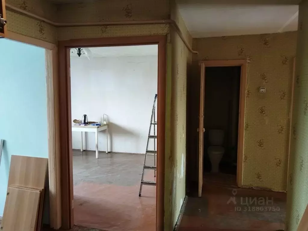 2-к кв. Брянская область, Брянск Белые Берега пгт, ул. Строителей, 15 ... - Фото 1