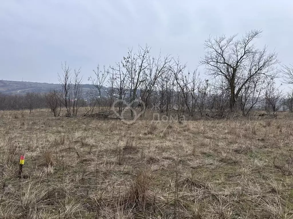 Участок в Волгоградская область, Городищенский район, Царицынское ... - Фото 1