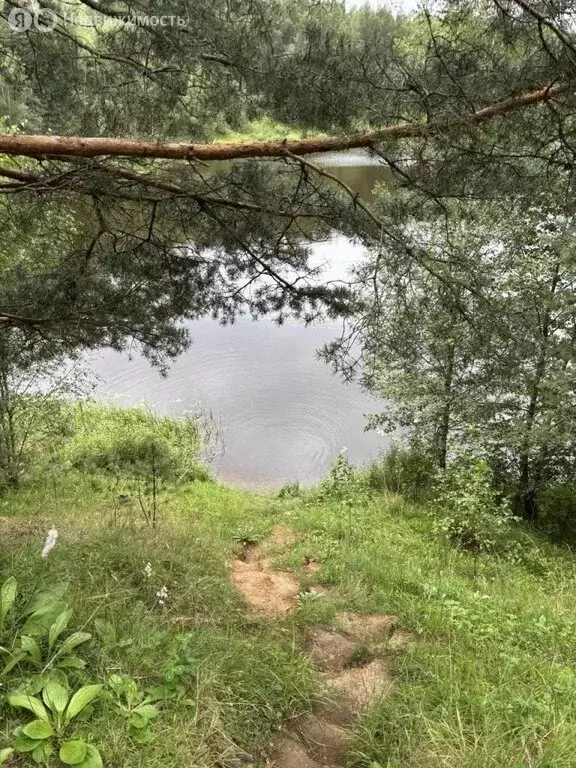 Участок в Тверская область, Калининский муниципальный округ, деревня ... - Фото 2