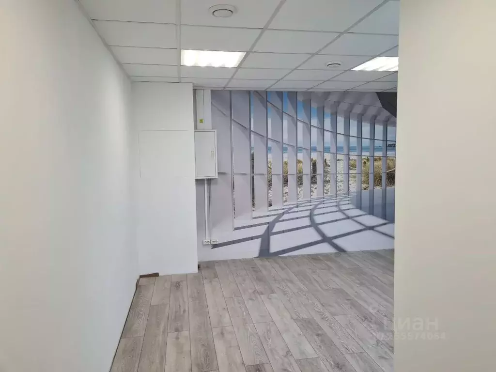 Офис в Московская область, Люберцы Колхозная ул., 10 (64 м) - Фото 1