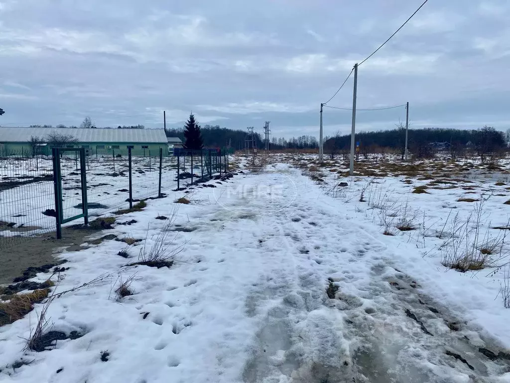 Участок в Калининградская область, Гурьевский муниципальный округ, ... - Фото 2