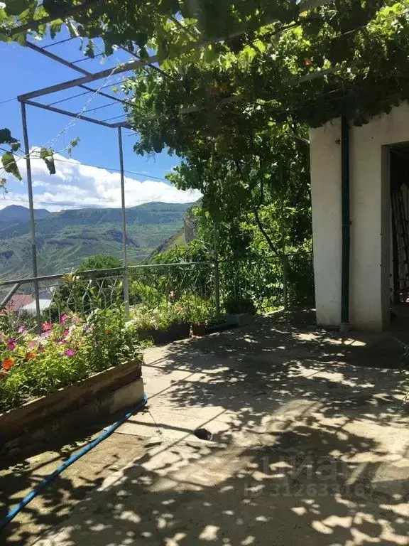 Дом в Дагестан, с. Гуниб ул. Имени Абдулы Омарова, 10 (120 м) - Фото 1