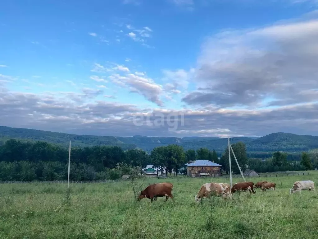 Участок в Башкортостан, Ишимбайский район, с. Макарово Больничная ул. ... - Фото 1