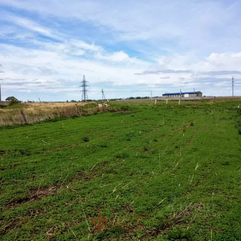 Участок в Белгородская область, Белгородский район, с. Стрелецкое ... - Фото 2