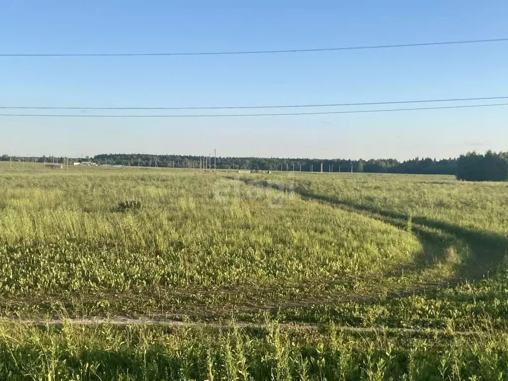 Участок в Смоленская область, Смоленский муниципальный округ, д. ... - Фото 1