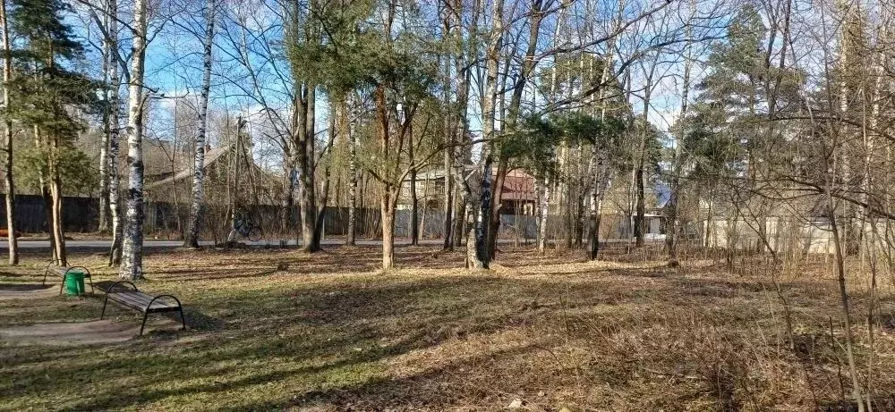 Участок в Московская область, Электроугли Богородский городской округ, ... - Фото 1