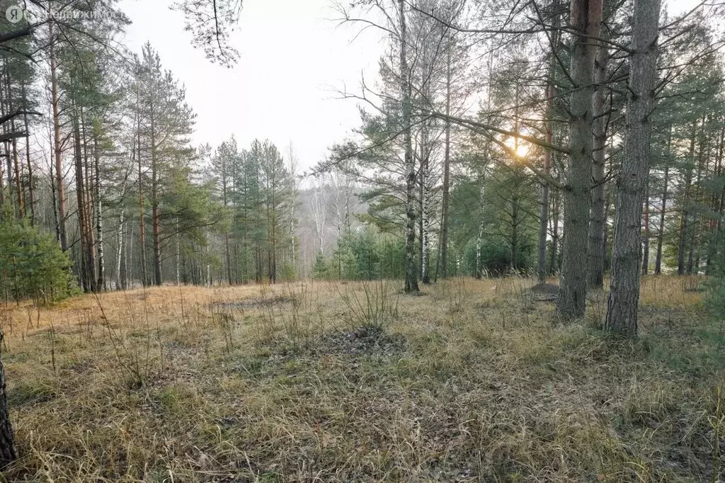 Участок в деревня Мистолово, коттеджный посёлок ХиллСайд (19.4 м) - Фото 0