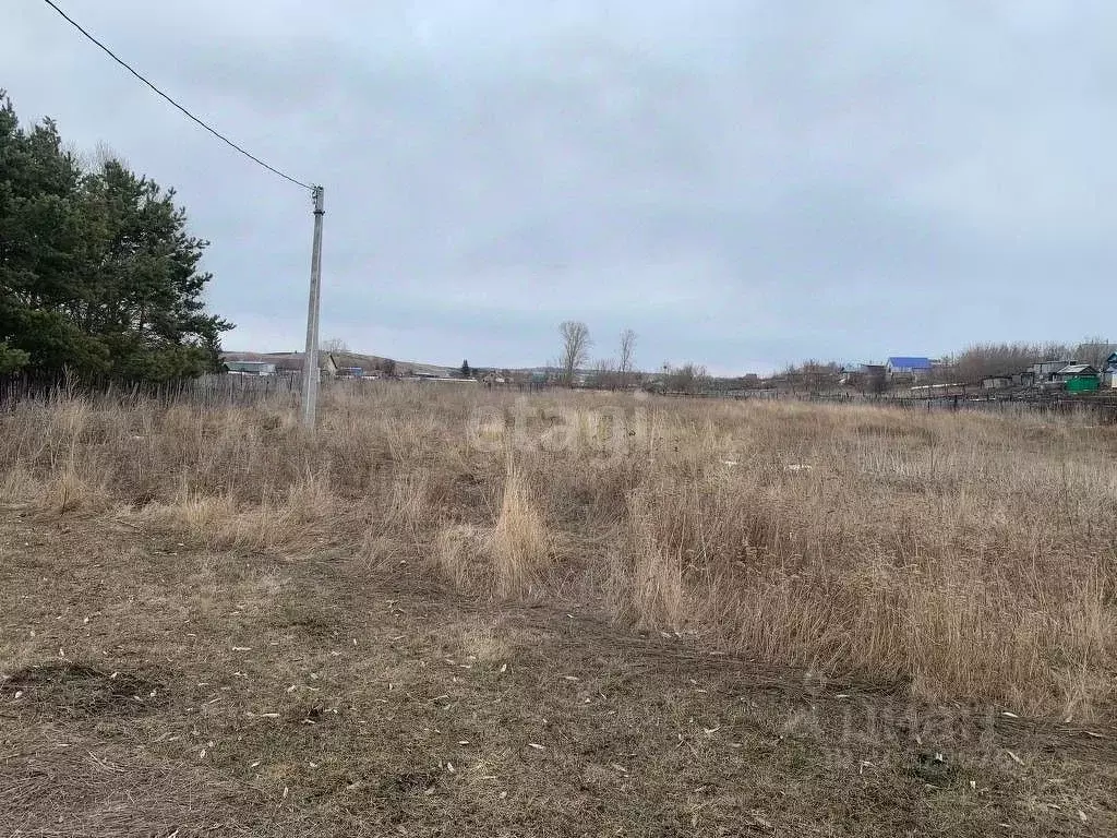 Участок в Татарстан, Альметьевский район, с. Новое Каширово ул. Мусы ... - Фото 0