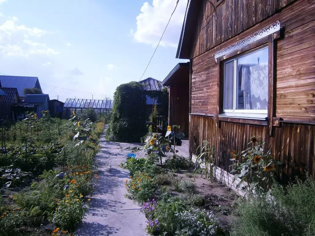 Дом в Курганская область, Курган Механизатор СТ,  (36 м) - Фото 1