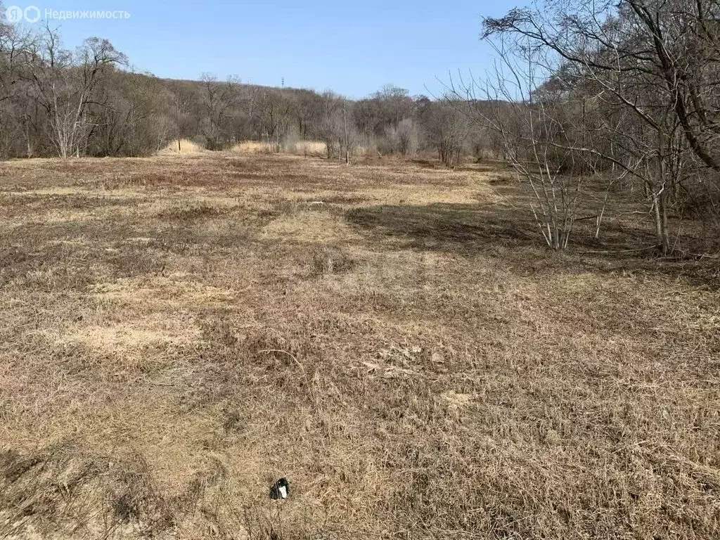 Участок в Приморский край, Анучинский муниципальный округ, село Таёжка ... - Фото 2