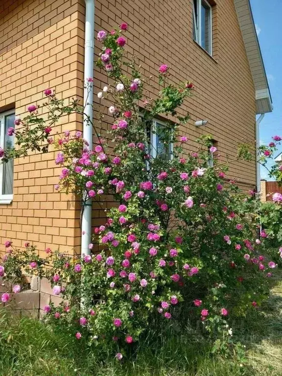 Дом в Белгородская область, Белгород пер. 1-й Лучевой (118 м) - Фото 1