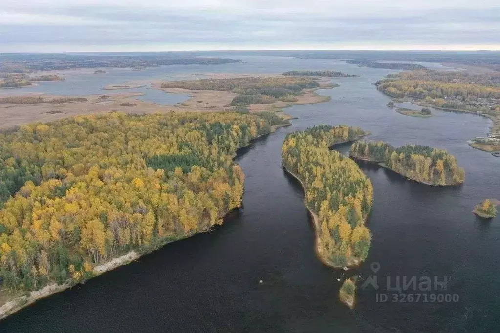 Участок в Ленинградская область, Выборгский район, Гончаровское с/пос, ... - Фото 1