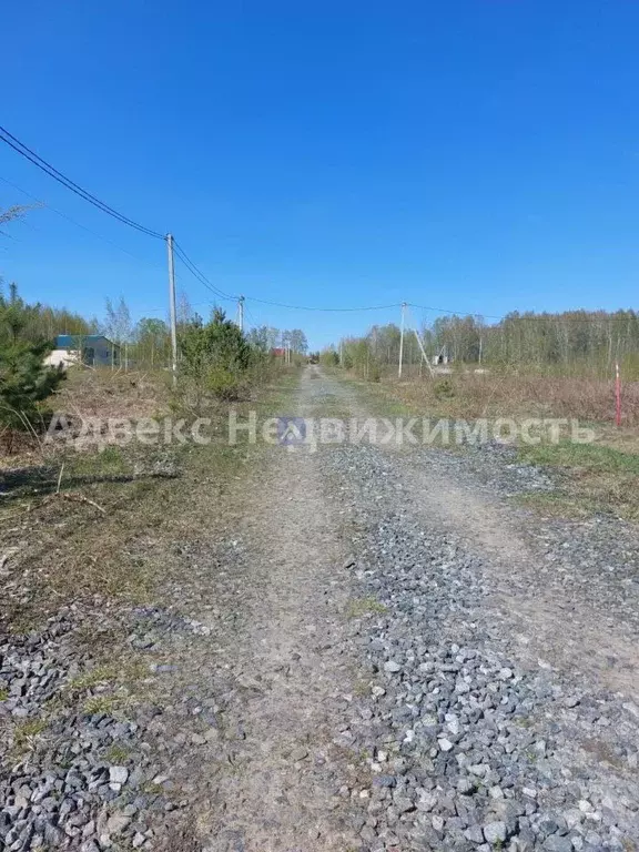 Участок в Тюменская область, Тюменский район, с. Червишево  (8.39 ... - Фото 1