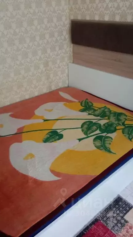 Комната Краснодарский край, Сочи Львовская ул., 1/56 - Фото 1