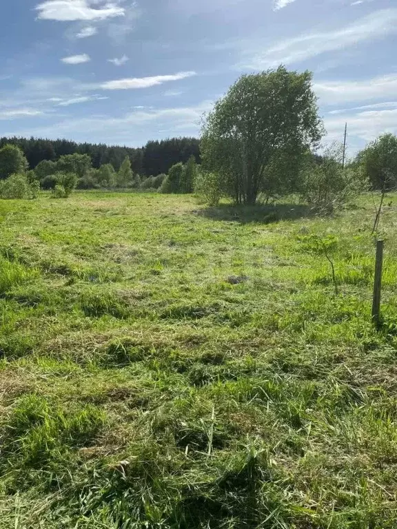 Участок в Ярославская область, Тутаевский муниципальный округ, ... - Фото 1