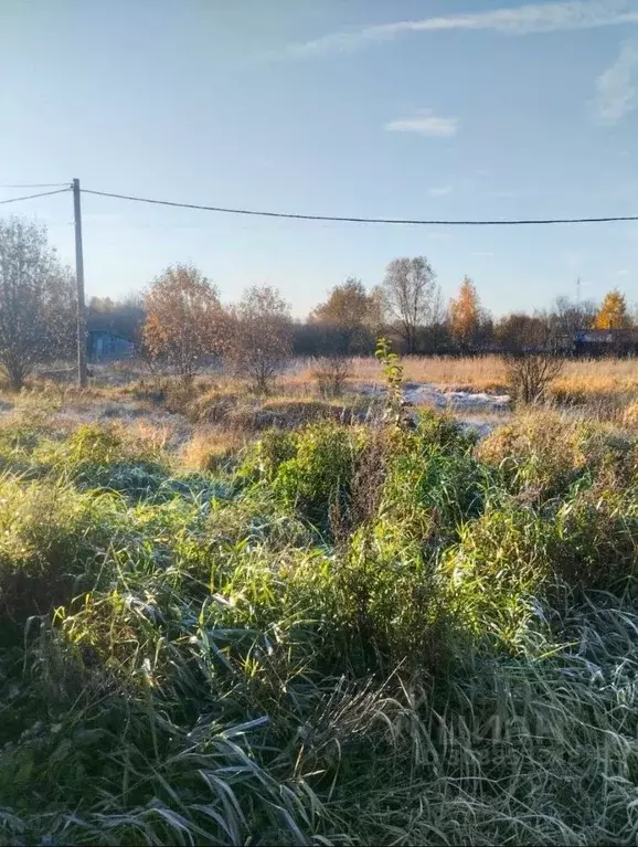 Участок в Ленинградская область, Гатчинский район, д. Романовка ул. ... - Фото 0