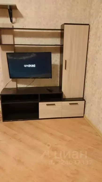 1-к кв. Московская область, Ногинск Богородский городской округ, ул. ... - Фото 1