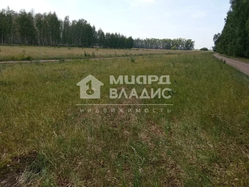 Участок в село Усть-Заостровка, 4-я Полевая улица (15 м) - Фото 1