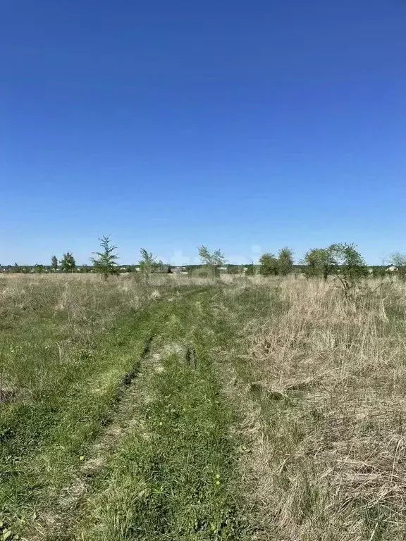 Участок в Воронежская область, Новоусманский район, Усманское 1-е ... - Фото 1