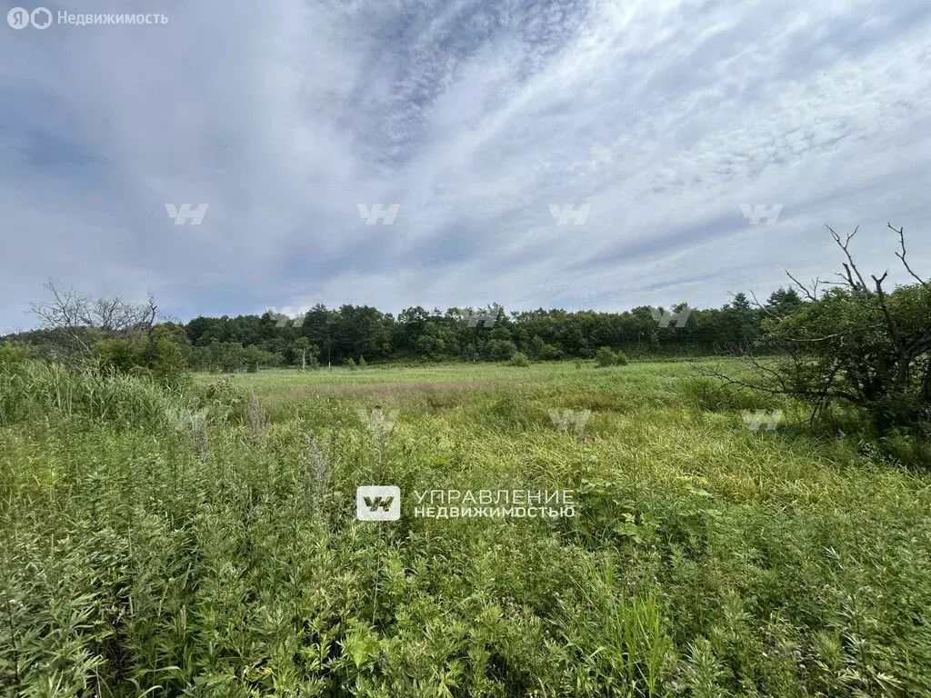 Участок в село Дачное (89.72 м) - Фото 0