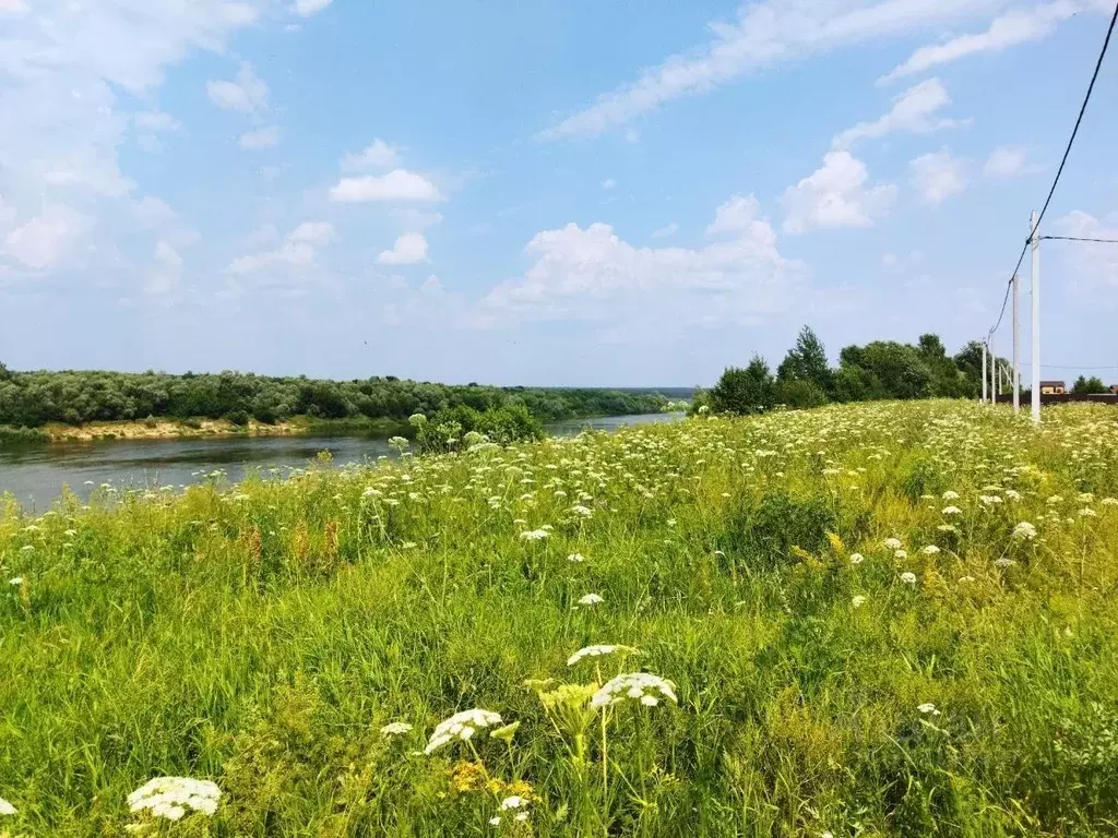Участок в Тульская область, Ясногорский район, Иваньковское с/пос, д. ... - Фото 2