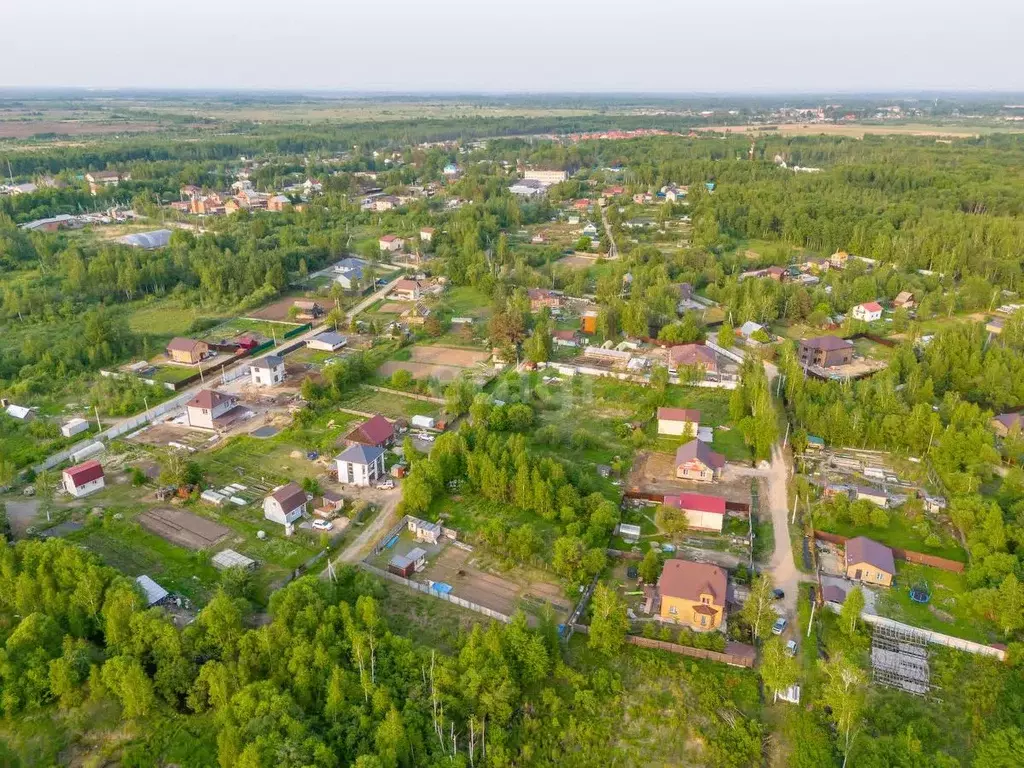 Участок в Хабаровский край, Хабаровский район, с. Скворцово, Скворцово ... - Фото 1