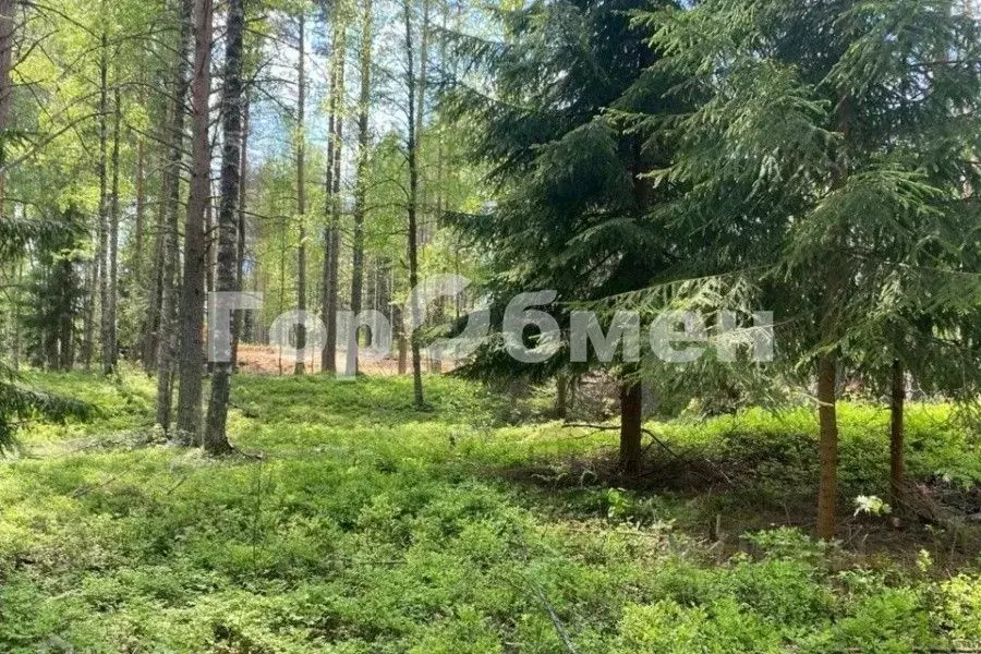 Участок в Калужская область, Жуковский муниципальный округ, Истье ... - Фото 1