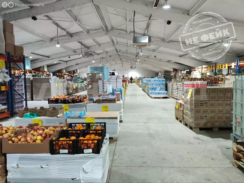 Помещение свободного назначения (1365 м) - Фото 2