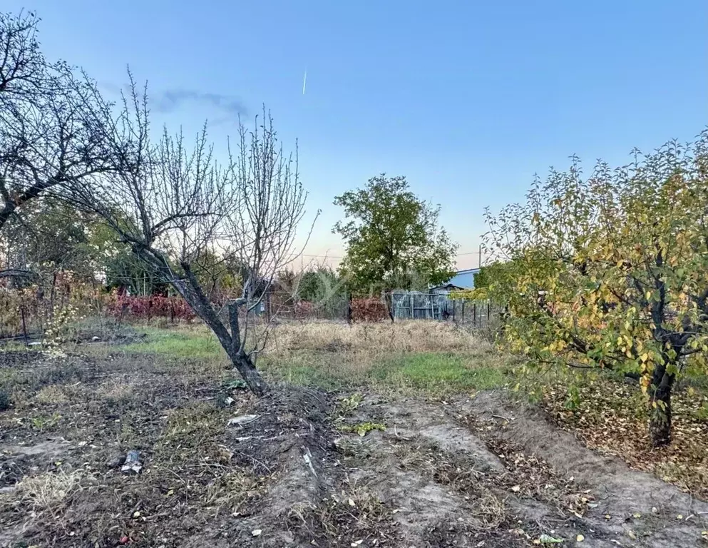 Участок в Волгоградская область, Волгоград Спутник СНТ, 1 массив, 10-я ... - Фото 1
