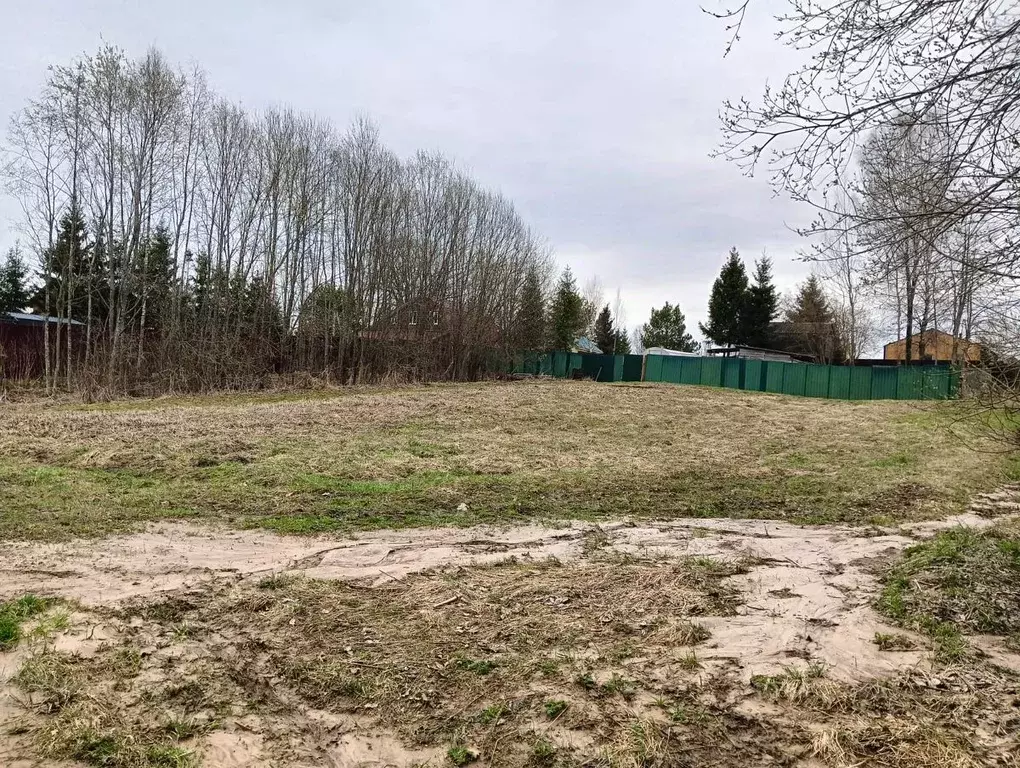 Участок в Московская область, Клин городской округ, д. Спасское  (8.2 ... - Фото 0