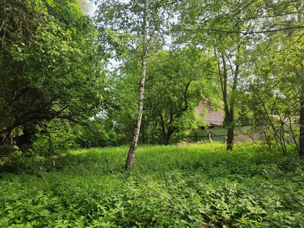 Участок в Москва пос. Рассудово, ул. Заречная, 13А (6.0 сот.) - Фото 1