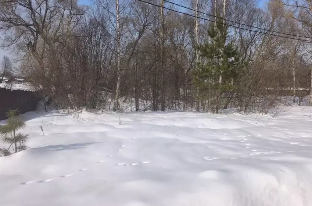 Участок в Московская область, Орехово-Зуевский городской округ, с. ... - Фото 1