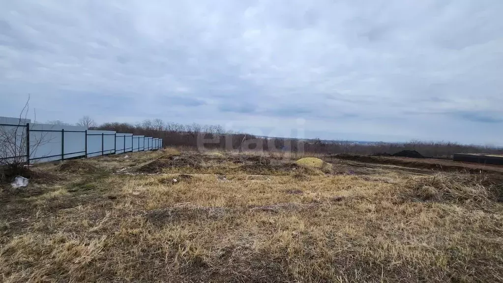 Участок в Белгородская область, Белгородский район, Разумное рп ул. ... - Фото 1