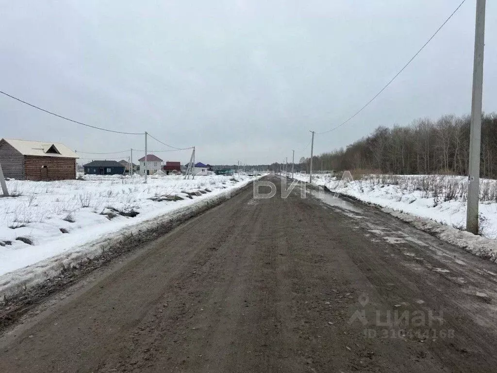 Участок в Тюменская область, Тюменский район, д. Падерина  (8.0 сот.) - Фото 1