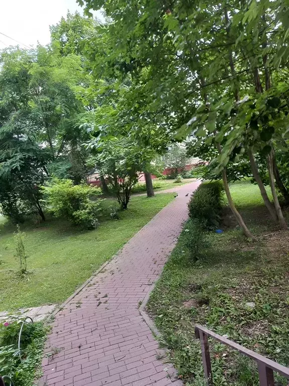 2-к кв. Московская область, Одинцовский городской округ, пос. Горки-10 ... - Фото 2