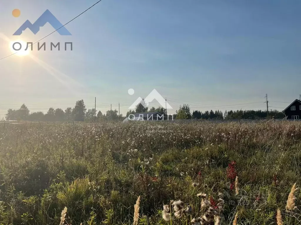 Участок в Вологодская область, с. Кубенское  (15.7 сот.) - Фото 1