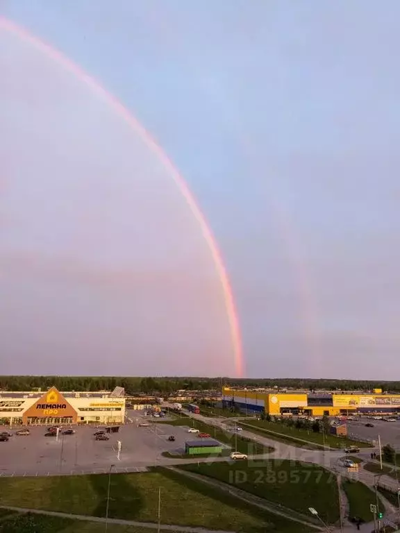 1-к кв. Псковская область, Псков Рижский просп., 93 (33.0 м) - Фото 1