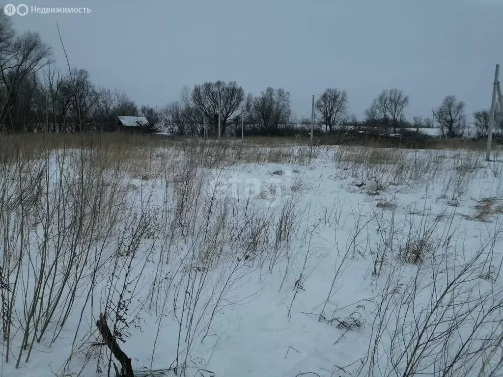 Участок в Первомайский район, село Рассказиха (15.2 м) - Фото 1