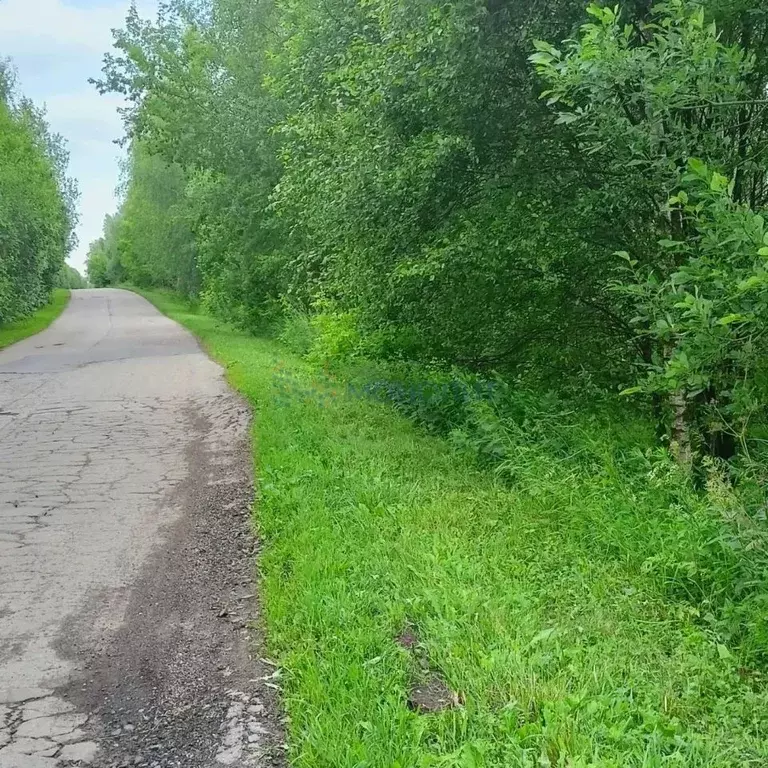 Участок в Нижегородская область, Богородский муниципальный округ, д. ... - Фото 1