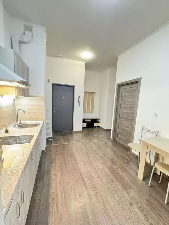 Студия Ленинградская область, Мурино Всеволожский район, просп. ... - Фото 1